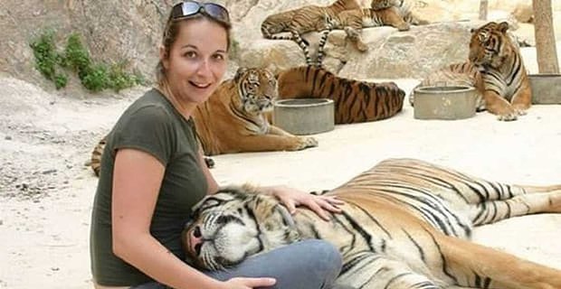 Tiger Pics: Trendi Takip Etmeli misiniz?