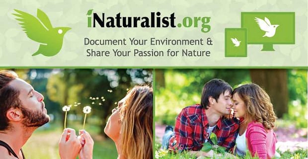 Gli amanti della natura si uniscono su iNaturalist.org per documentare il loro ambiente e condividere la loro passione