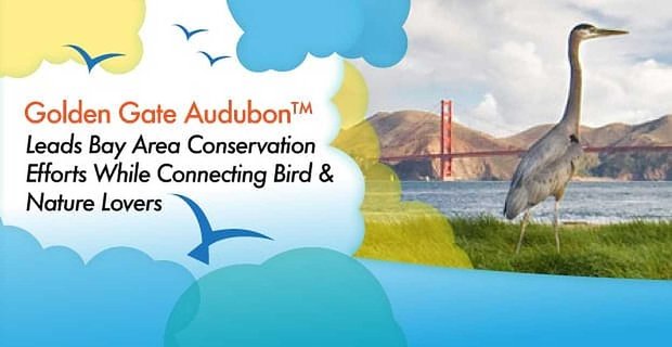 Golden Gate Audubon, Kuş ve Doğaseverleri Bir Araya Getirirken Körfez Bölgesi Koruma Çalışmalarına Öncülük Ediyor