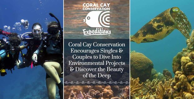 Coral Cay Conservation moedigt singles en stellen aan om in milieuprojecten te duiken en de schoonheid van de diepte te ontdekken